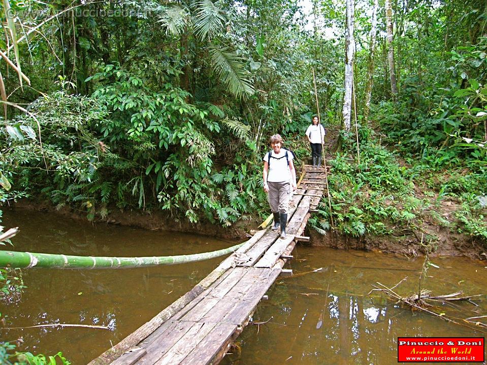 ECUADOR - Foresta Amazzonica - 29.jpg